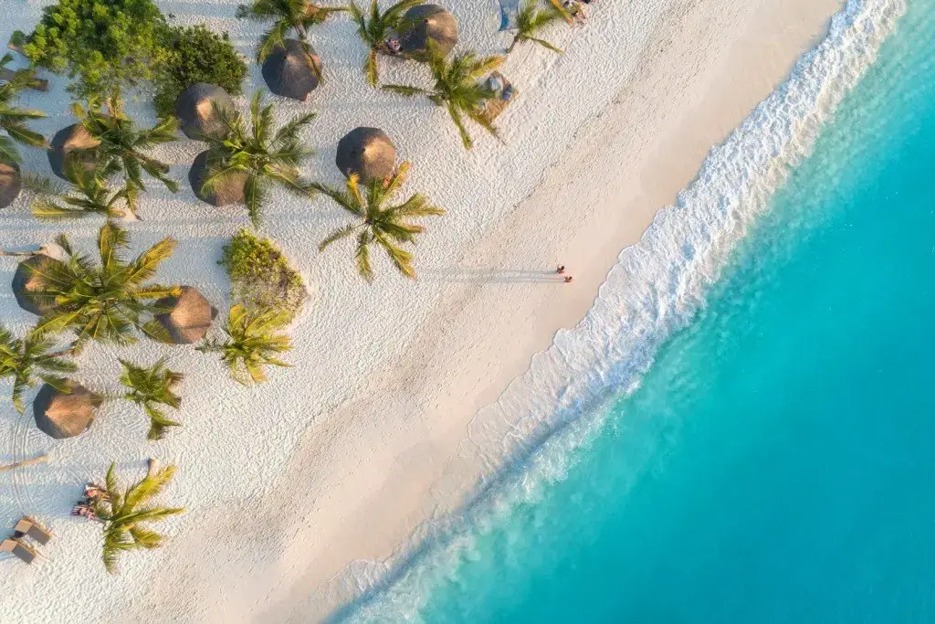 Adventure Awaits: Zanzibar Solo Traveler Adventur